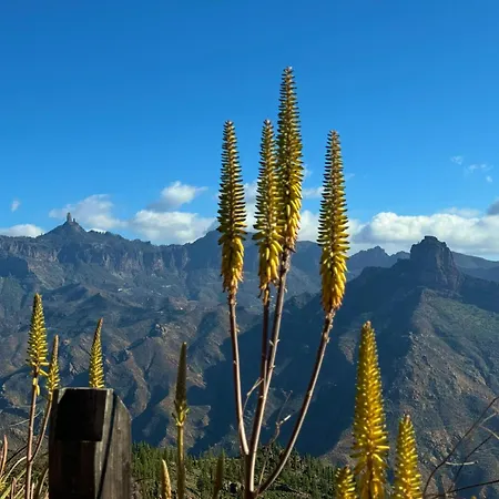 Luxury Family Beachfront *