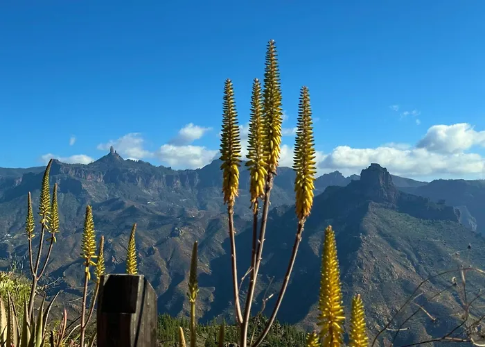 Luxury Family Beachfront *
