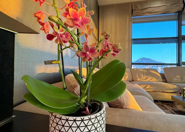 Luxury Family Beachfront * Las Palmas de Gran Canaria