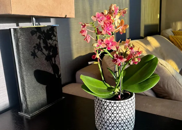 Luxury Family Beachfront Apartament